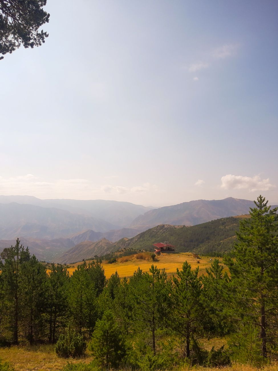 Zomin archazorlari va Chimyon tog‘ manzarasi